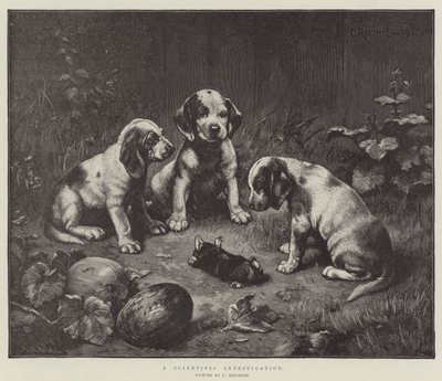 A Scientific Investigation by Carl Reichert